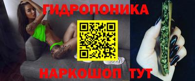 дмт Владивосток