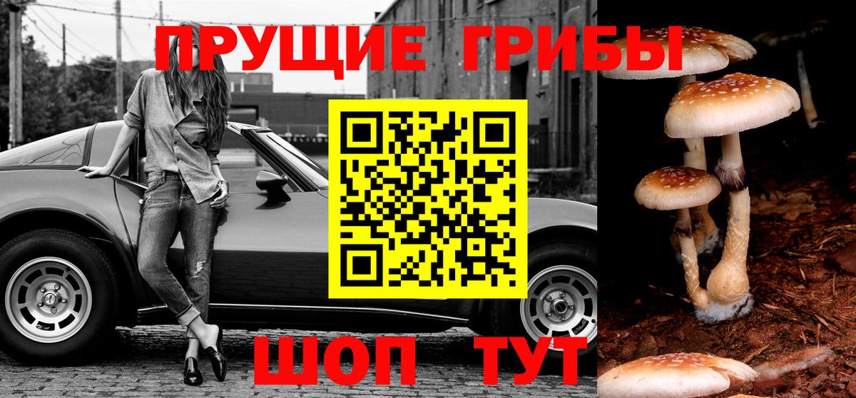 Псилоцибиновые грибы Cubensis Мурманск