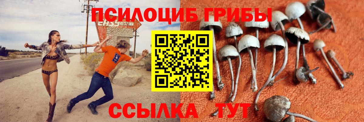 дарнет шоп  Галлюциногенные грибы Psilocybe  Вход с VPN  Мурманск 